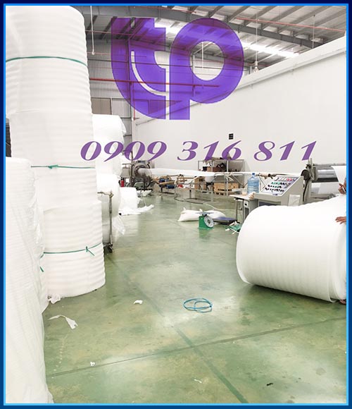 PE Foam